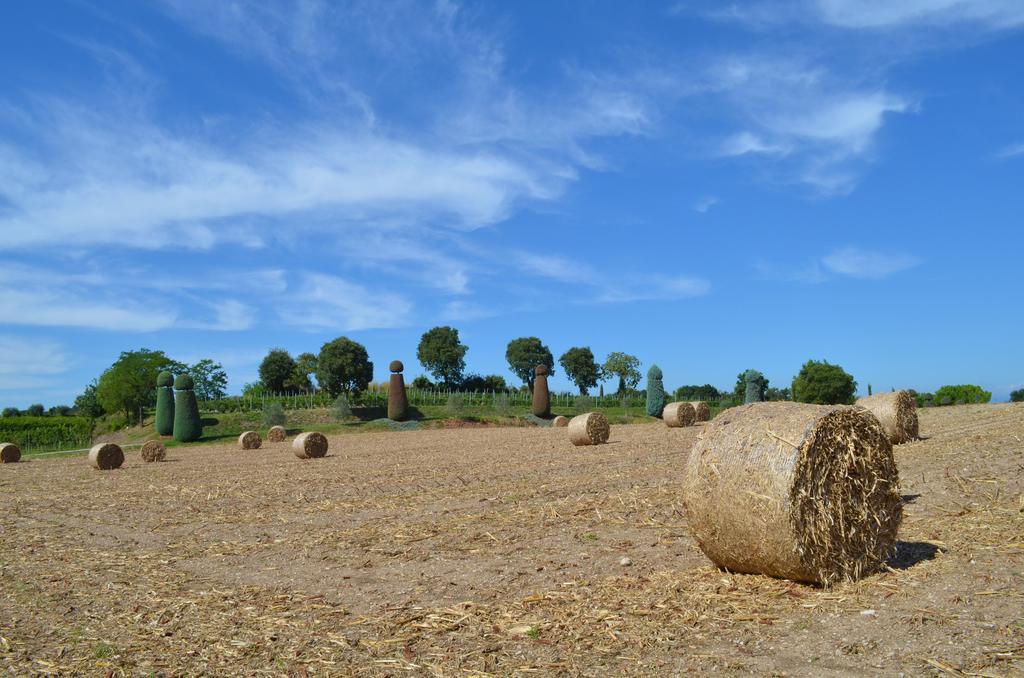 Agriturismo Dondino Cavriana Bagian luar foto