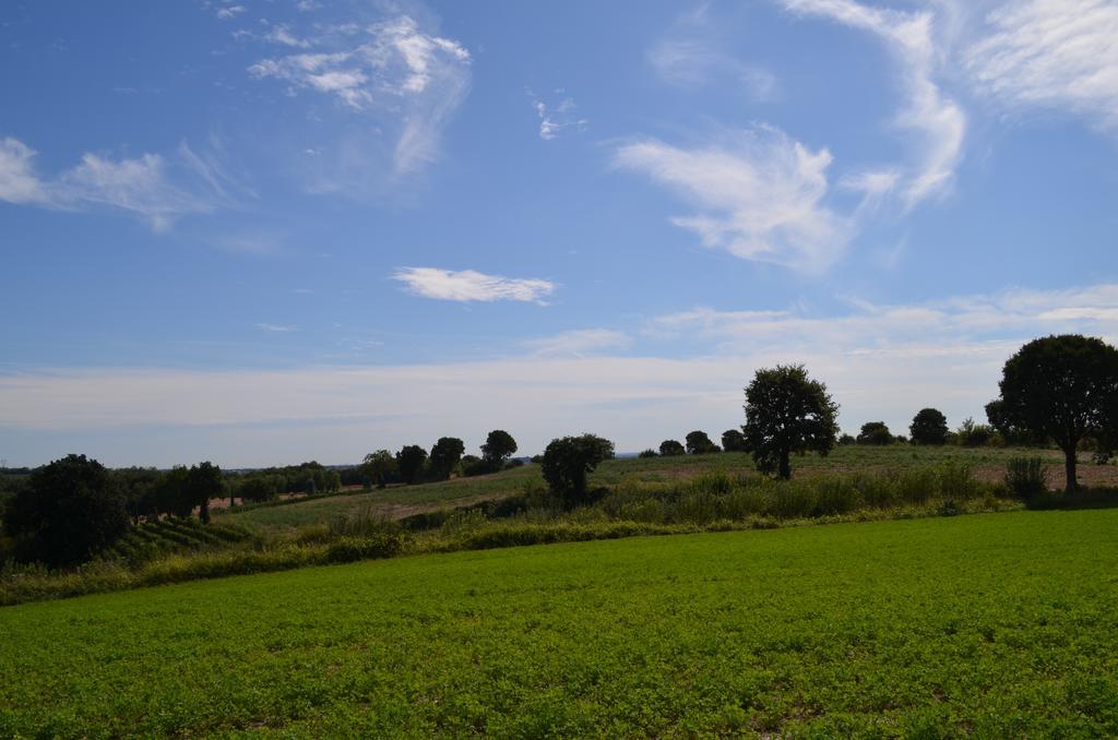 Agriturismo Dondino Cavriana Bagian luar foto