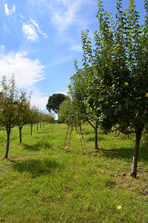 Agriturismo Dondino Cavriana Bagian luar foto
